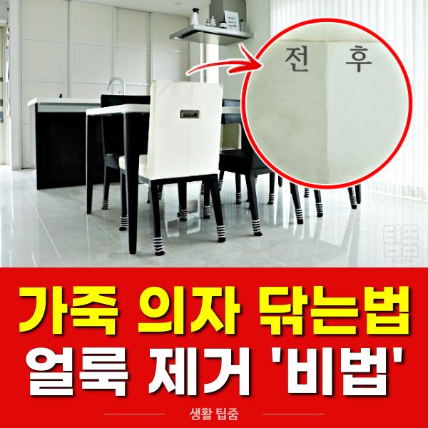 가죽 의자 닦는방법 얼룩제거, 팁줌