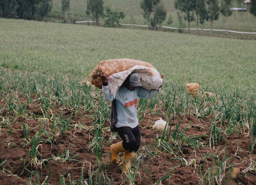 Farmer