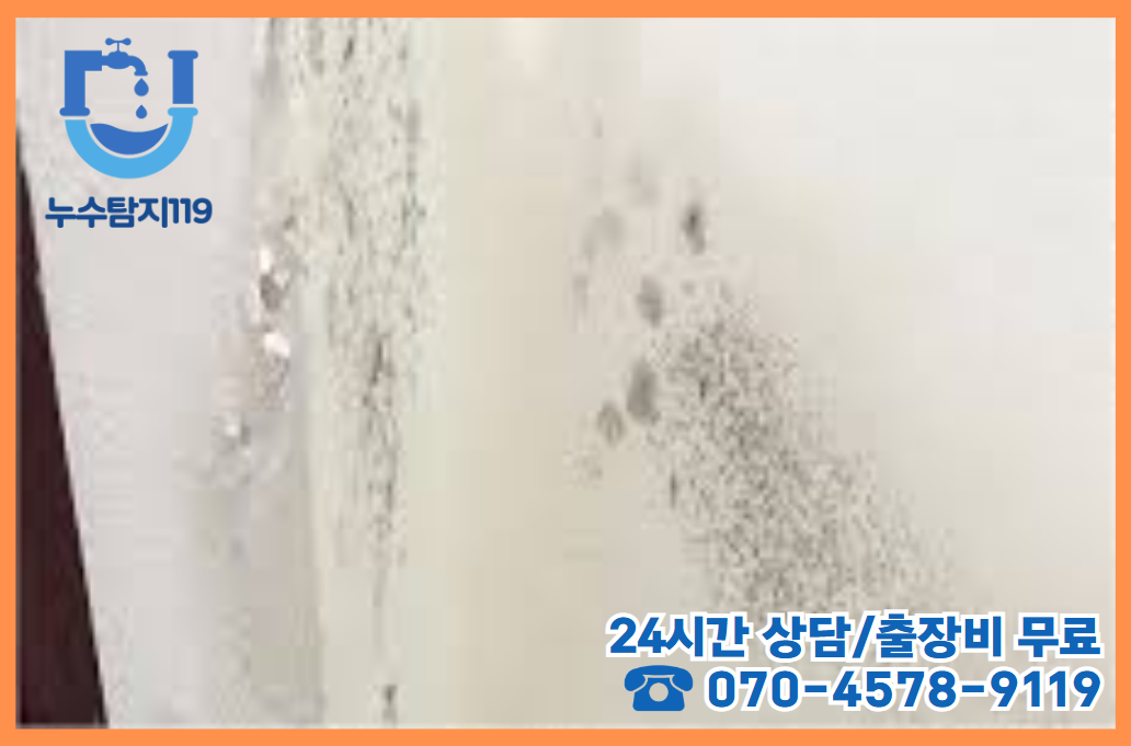 둔곡동 아파트/빌라/상가건물2