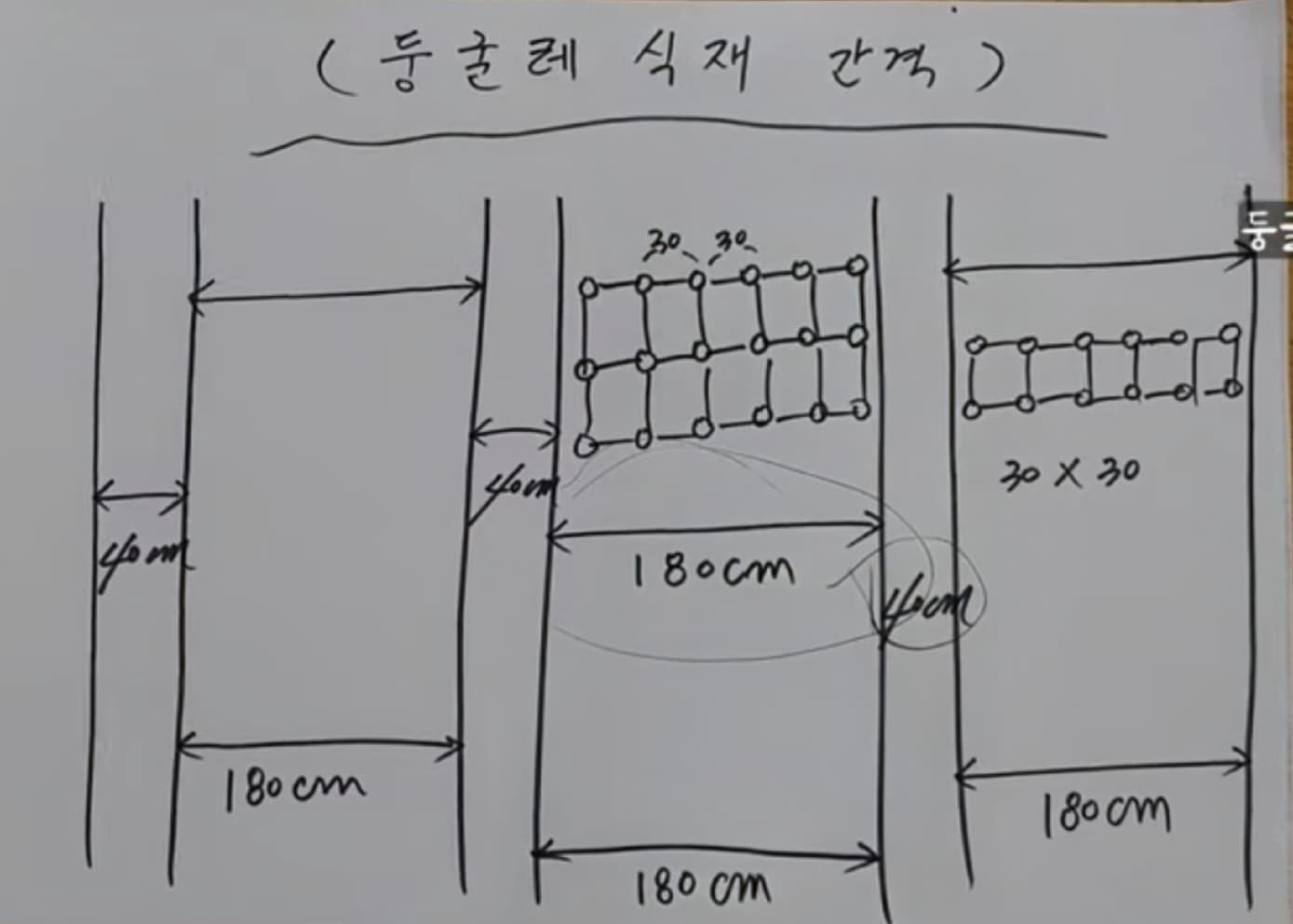 둥굴레 식재 간격