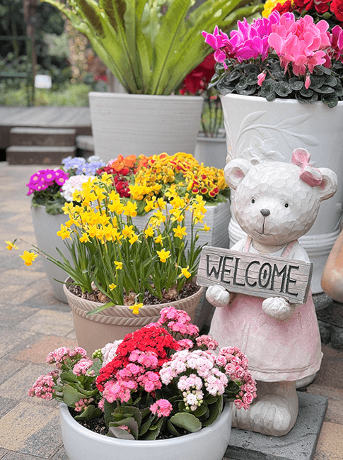 벚꽃, 철쭉, 반달곰까지 2025 베어트리파크 봄꽃축제 완전 정복