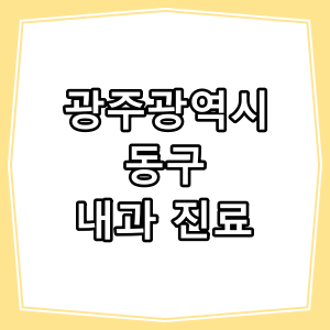 광주광역시 동구 호흡기, 내과 진료 하는 동네 병원