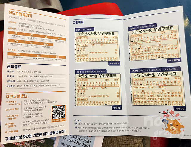 청도-소싸움경기장