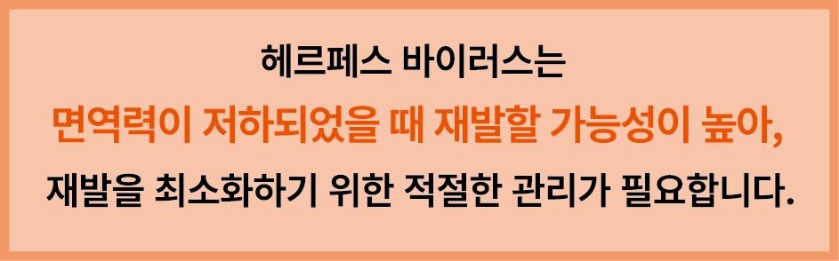 헤르페스 바이러스