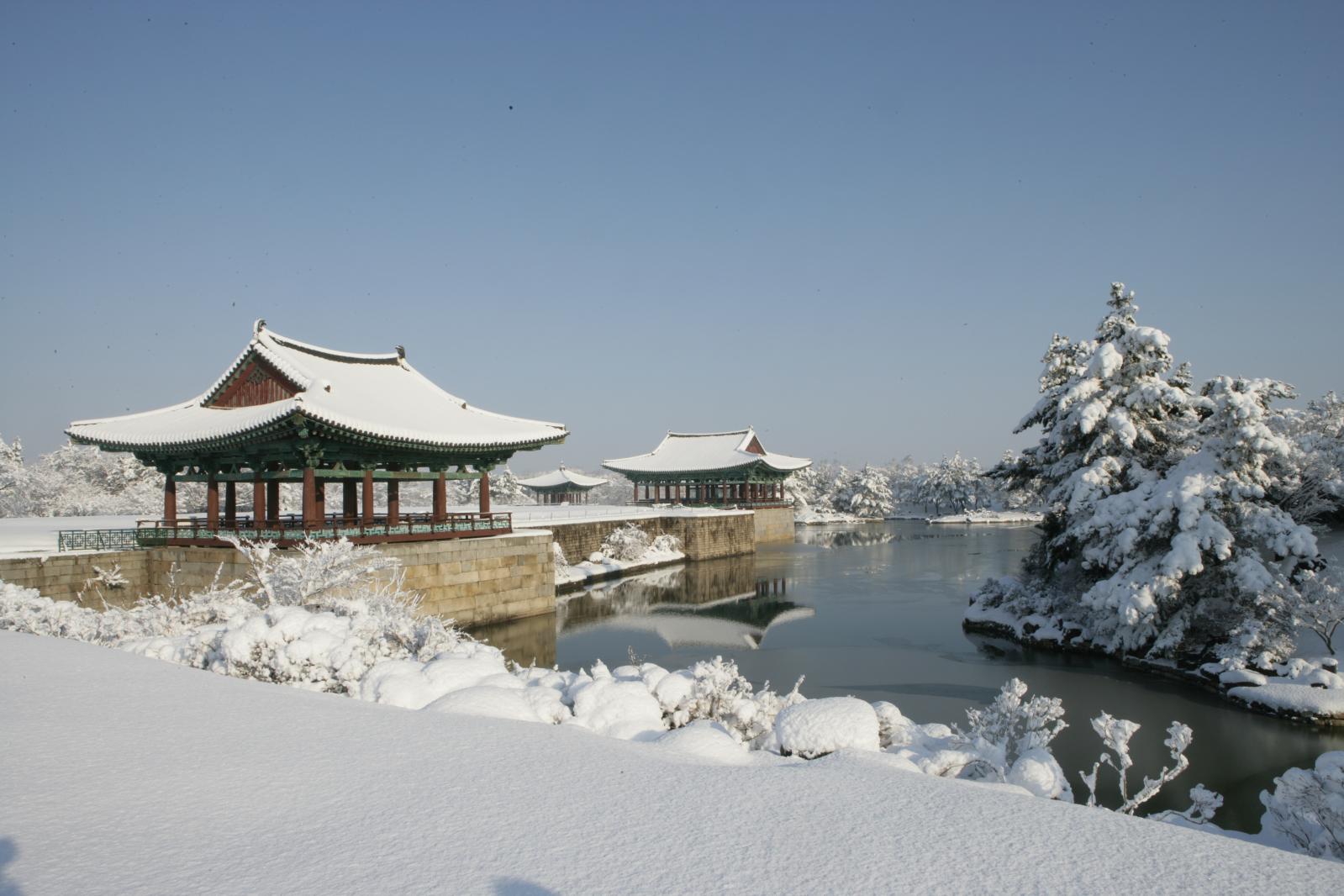 건강보험료 변동