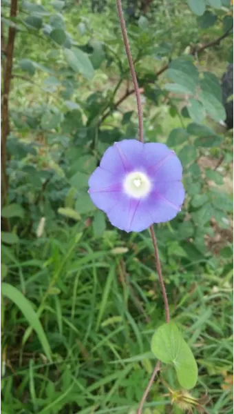 빌립보서 4장 : 권면_14