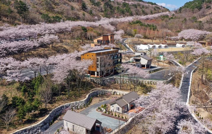 경남 월아산 자연 휴양림 - 숲나 들 e 예약하는 방법 및 여러 정보