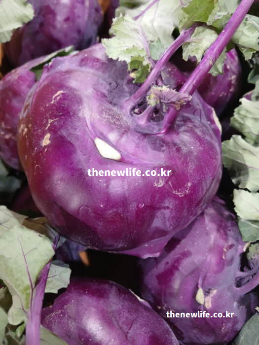 콜라비 효능 중 독소 배출에 좋은 글루코시놀레이트가 풍부한 실사진