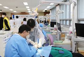 잇몸에서 피가 나는 이유