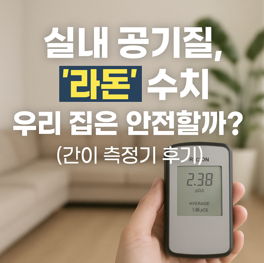 실내 공기질, '라돈' 수치 우리 집은 안전할까? (간이 측정기 후기)