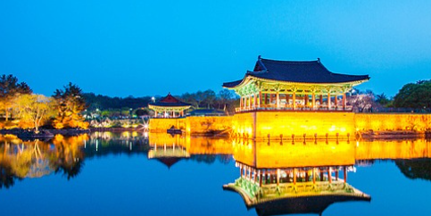 벚꽃 개화시기 2025