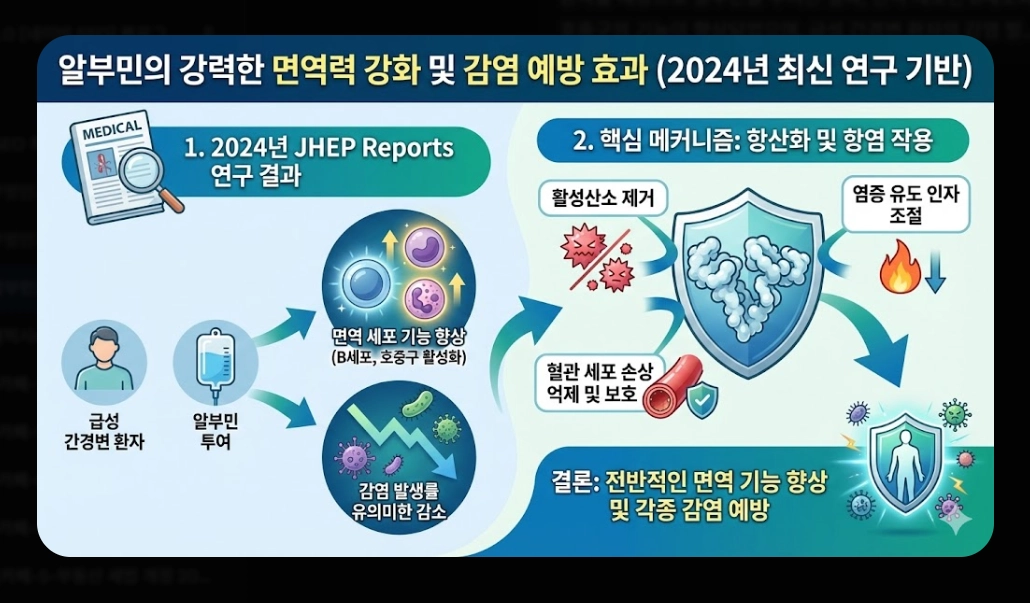 알부민 효능 완벽 분석 [2026 최신] 부족 증상 수치 및 올바른 제품 선택 가이드