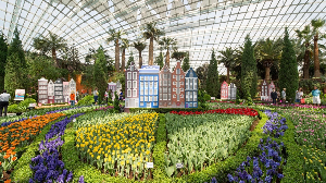 싱가포르 여행 추천 싱가포르 플라워 돔