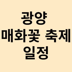 광양 매화꽃 축제 2025