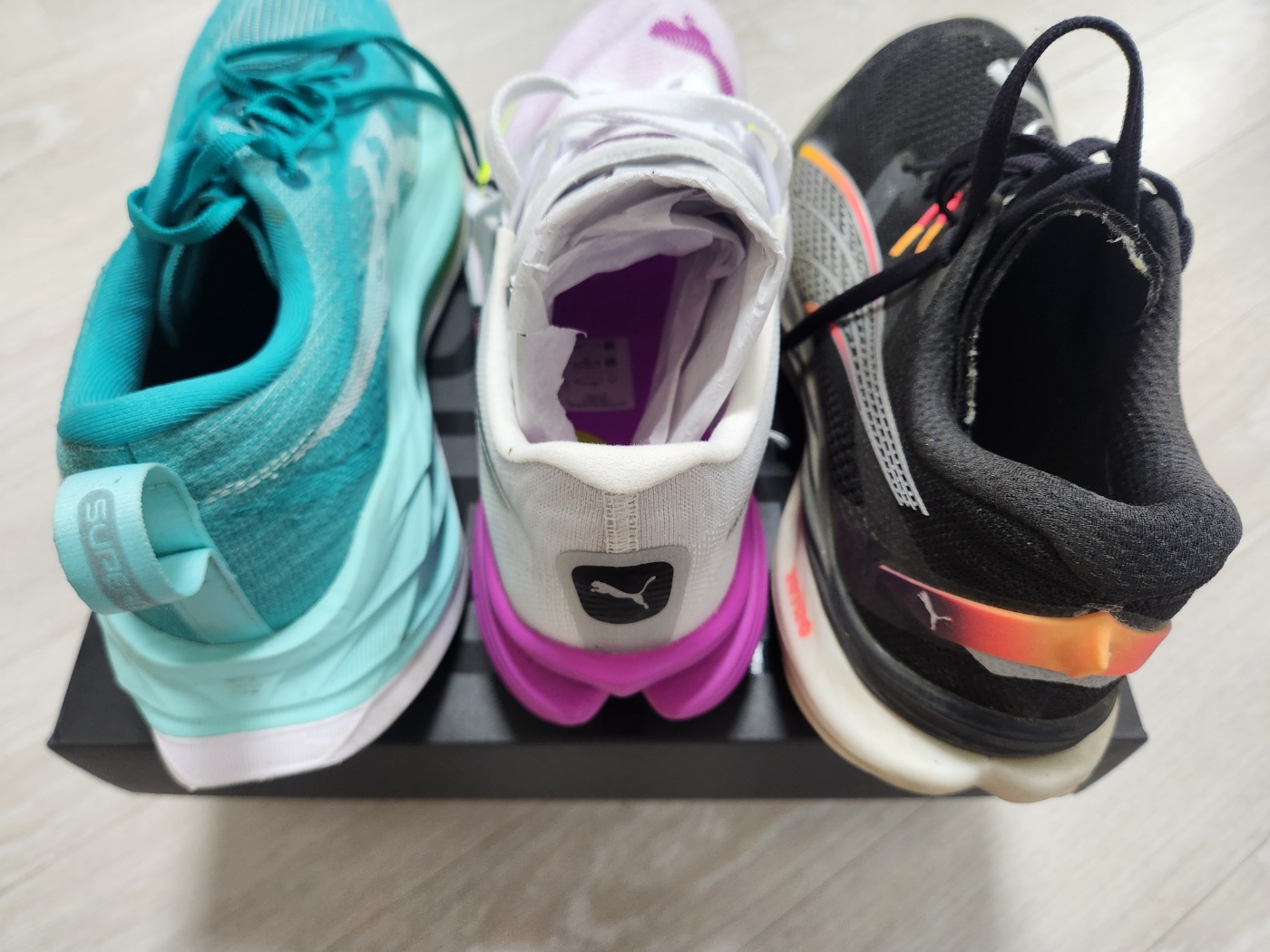 슈블3 vs 디나3 vs 디나엘3