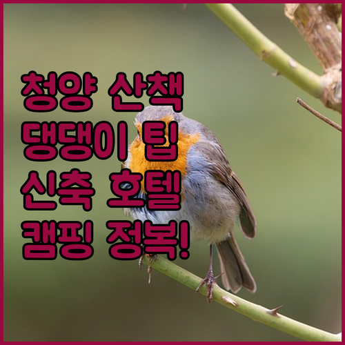 청양 운곡초등학교 앞 산책길 반려견 ..