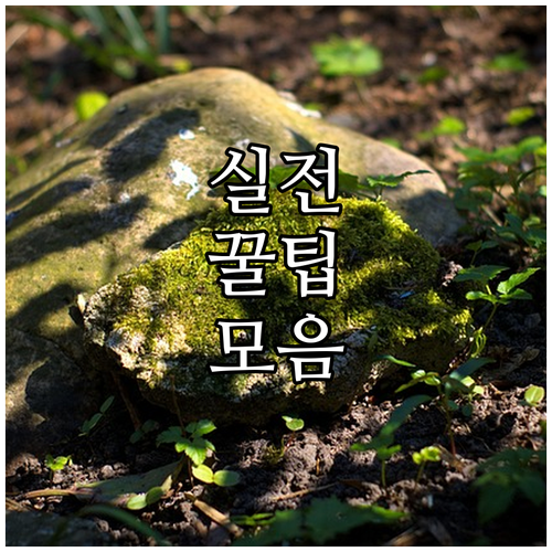 2025 동구 여성청소년 보건위생용품..