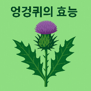 엉겅퀴 효능