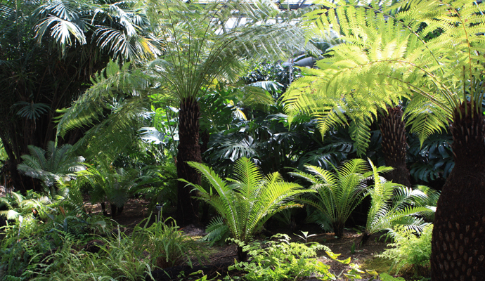 설연휴 제주도여행