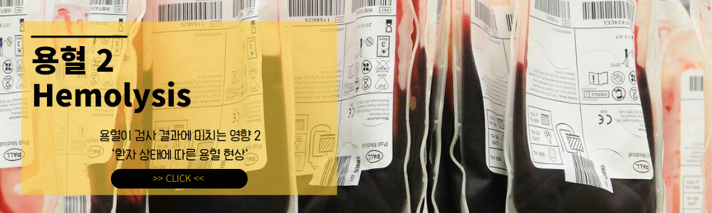 용혈(Hemolysis)이 검사 결과에 미치는 영향2 ❘ 혈액 검사 오류의 주범 : 환자 상태에 따른 용혈 현상