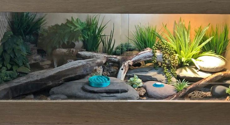 Leopard Gecko를 위한 테라리움 꾸미기