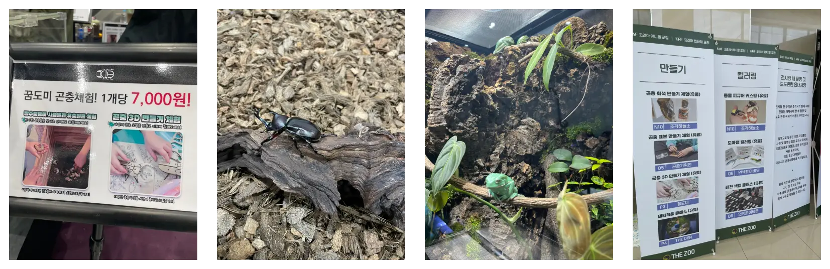 누에 키우기 체험