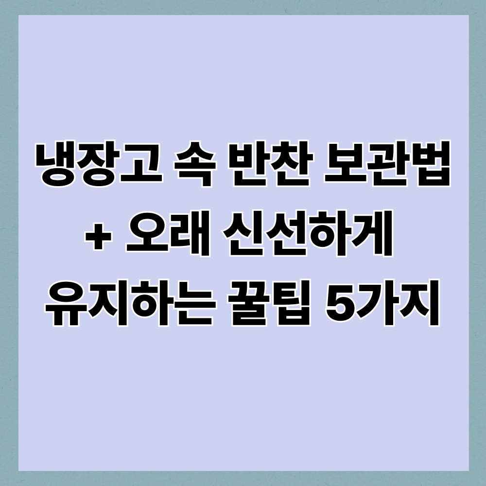 냉장고 속 반찬 보관법 + 오래 신선하게 유지하는 꿀팁 5가지