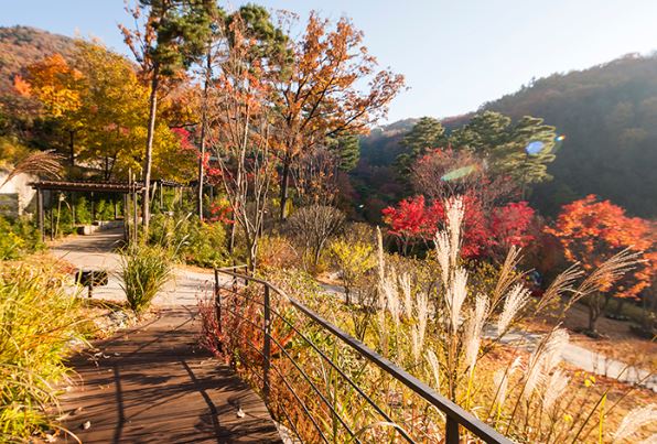 가을단풍명소 화담숲 모노레일 예약 요금 이용시간