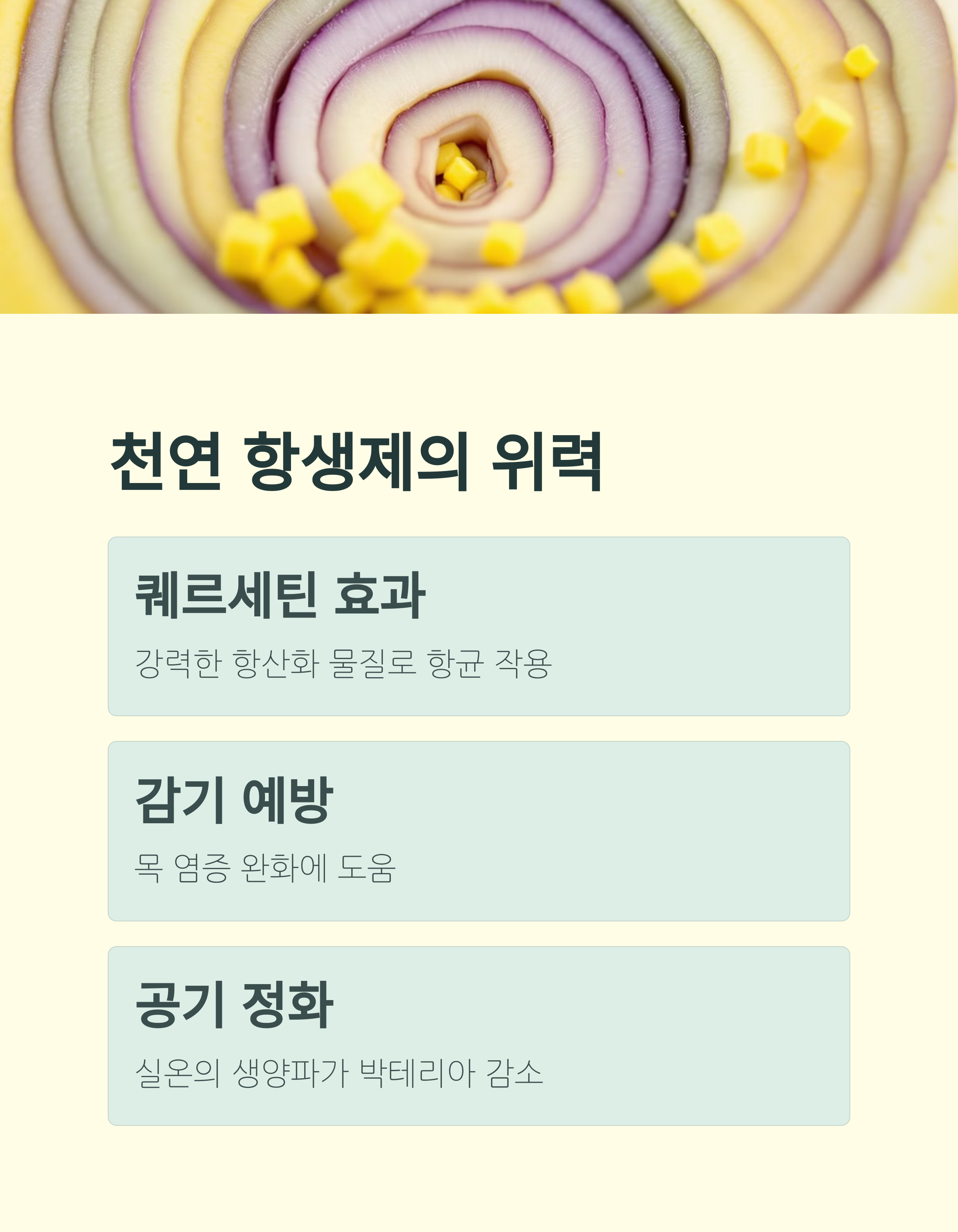 양파는 자연이 준 천연 항생제, 양파의 위력