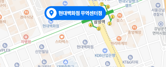 현대백화점 무역센터점-지도