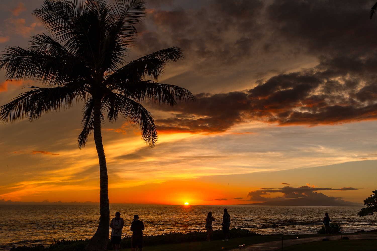 그랜드 와일레아 마우이 어 월도프 아스토리아 리조트 선셋