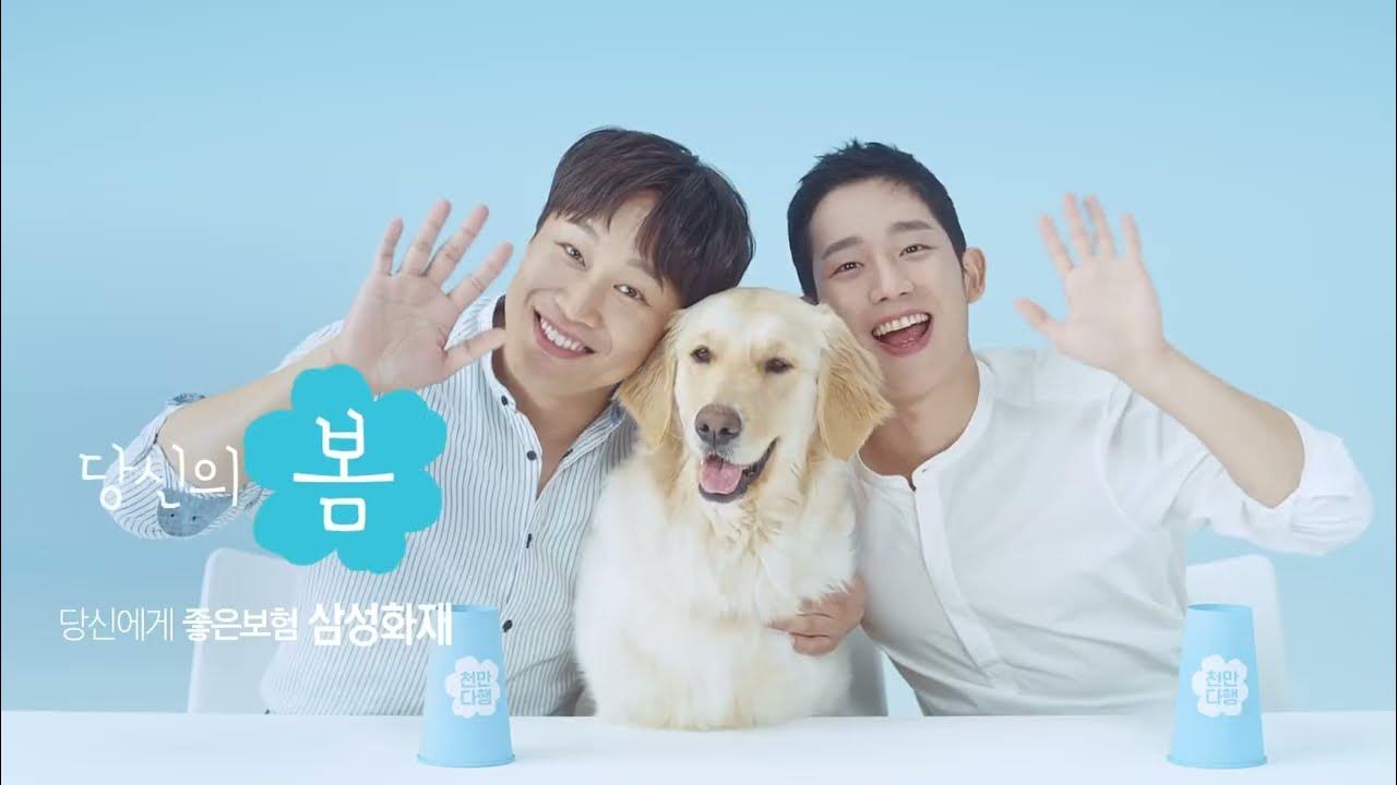 삼성화재 애견보험 펫다움 완전 정리｜보장·보험료·청구까지
