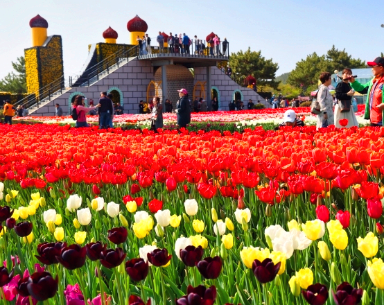4월 축제 일정표 한눈에 알아보기 &amp;#124; 2024년도 4월 축제 BEST 9곳 정리