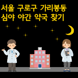 서울 구로구 가리봉동 심야 야간 24시 약국 찾기