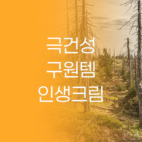 이니스프리 크림, 내 피부 고민 해결..