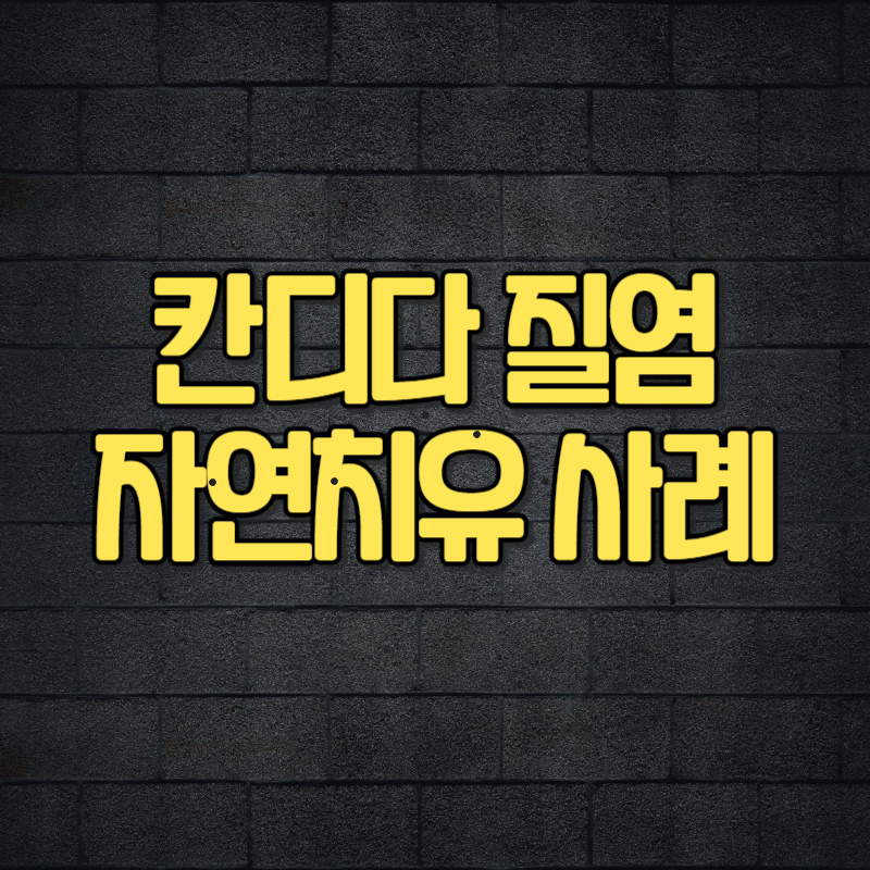 칸디다 질염 자연치유 사례