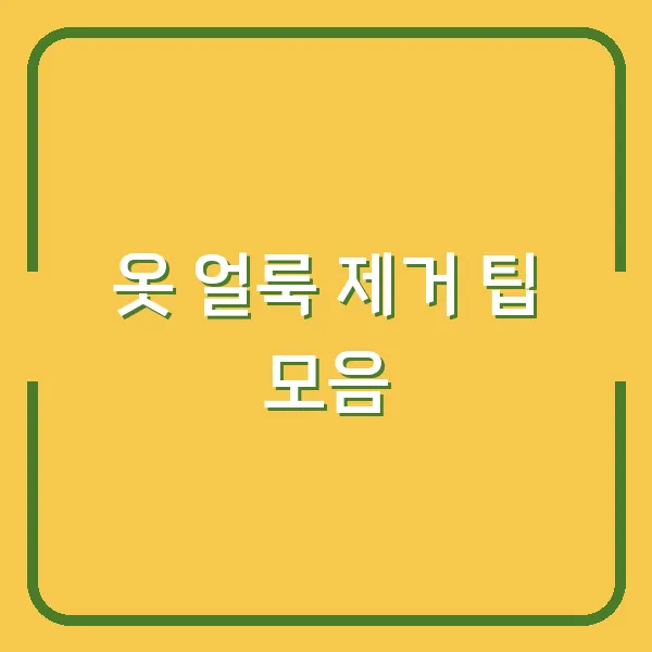 옷 얼룩 제거 팁 모음