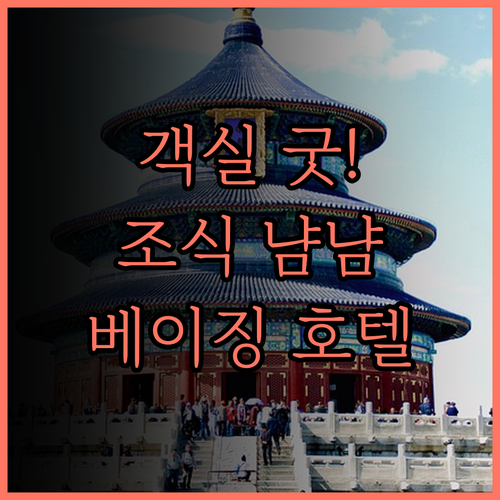 알로프트 베이징 화이루 호텔 후기 객