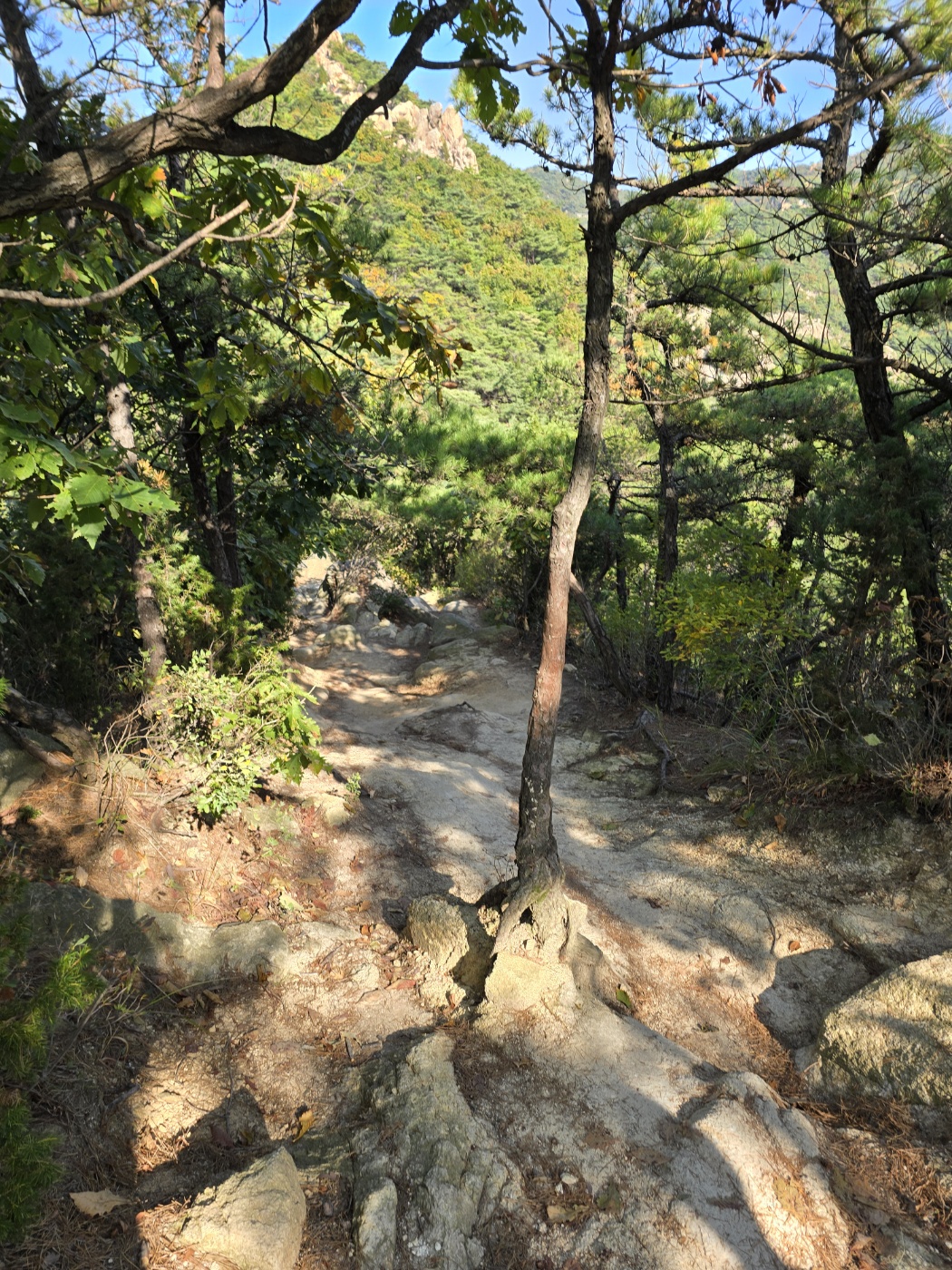 등산길