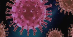 최근 코로나 증상