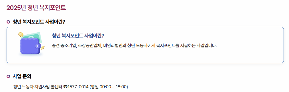 2025년 청년 복지포인트 사업 설명 표 이미지