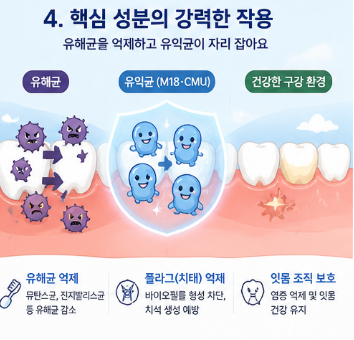 닥터파이토-구강유산균-효과-내돈내산-후기-가격-효능