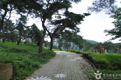 정읍 구절초지방정원