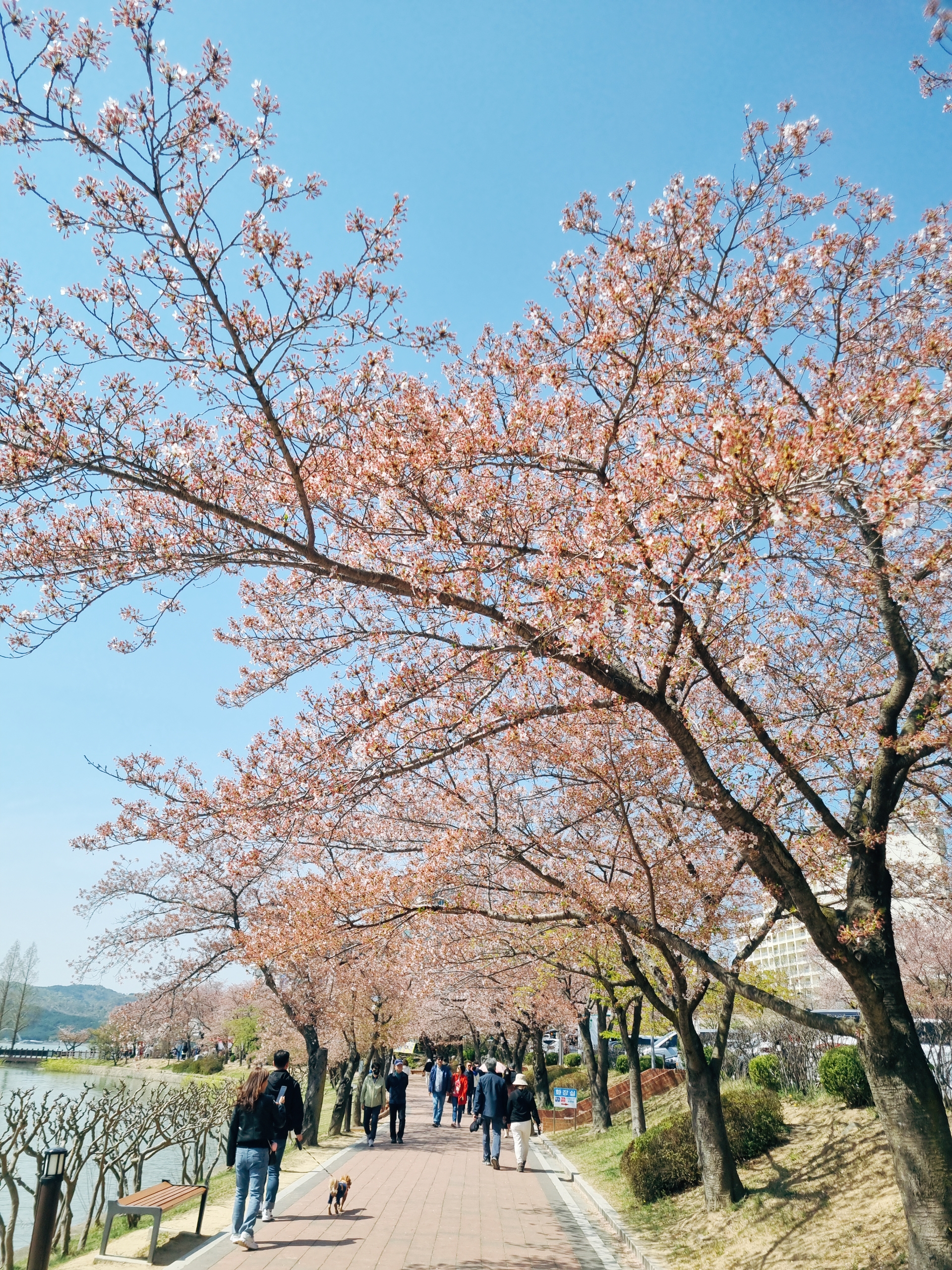 경주 보문단지