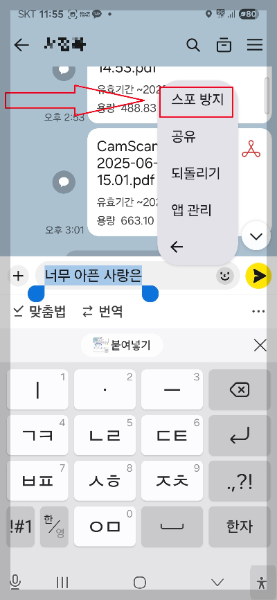카톡 스포방지 모자이크 기능