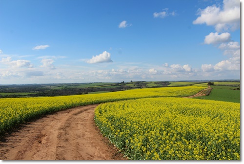 고창 청보리밭 축제 입장료 가는길 주차 