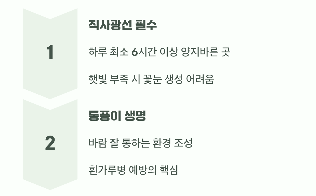 최고의 보약, 햇살과 바람