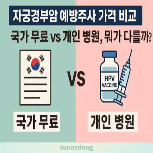 자궁경부암 예방주사 가격 비교 총정리 썸네일