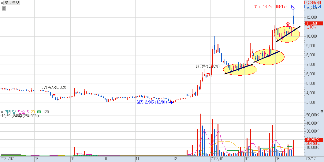 로보로보 차트 예시 2)
