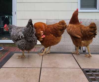 아두이노로 움직임을 감지